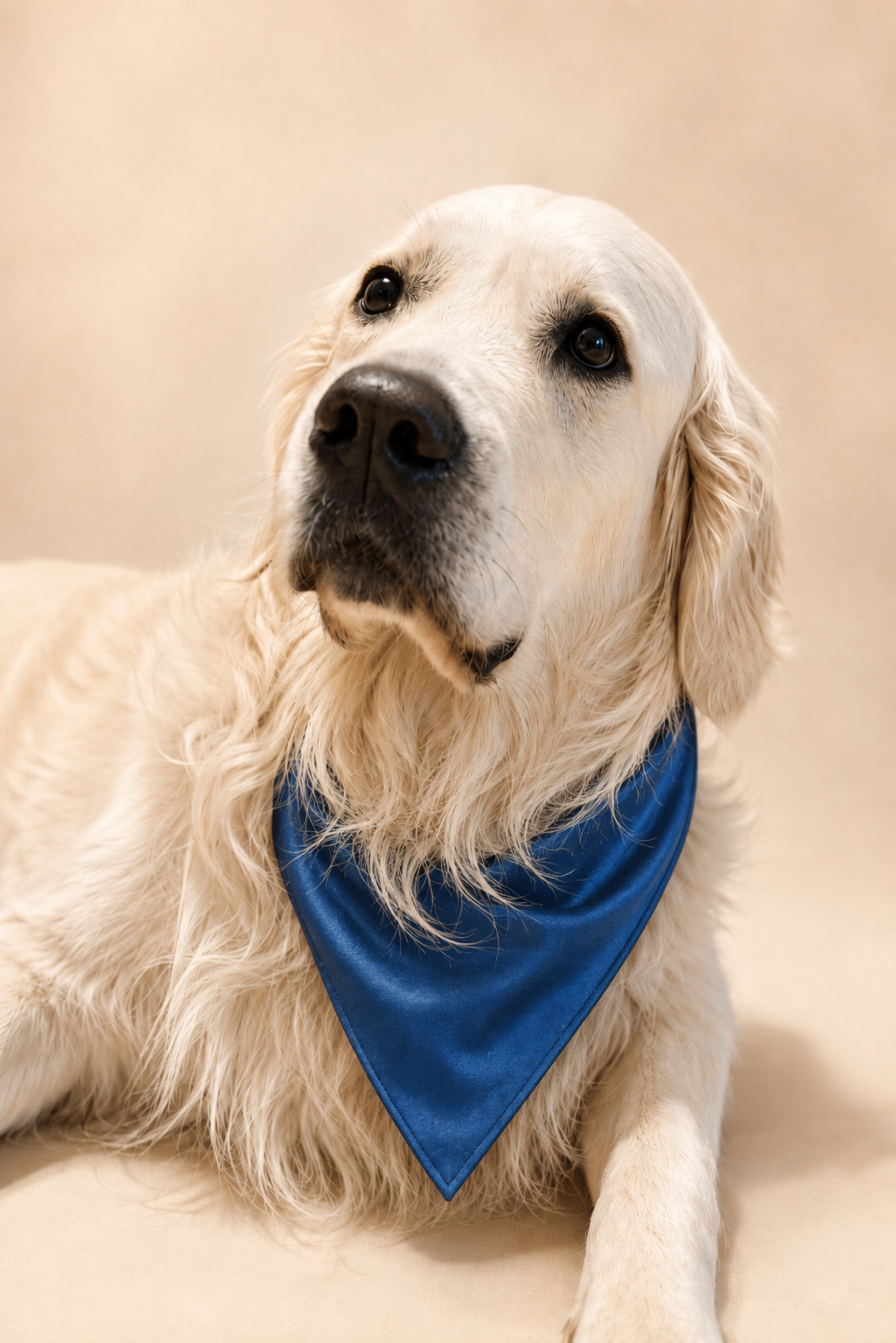 Mulberry Silk Bandana