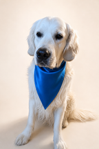 Mulberry Silk Bandana