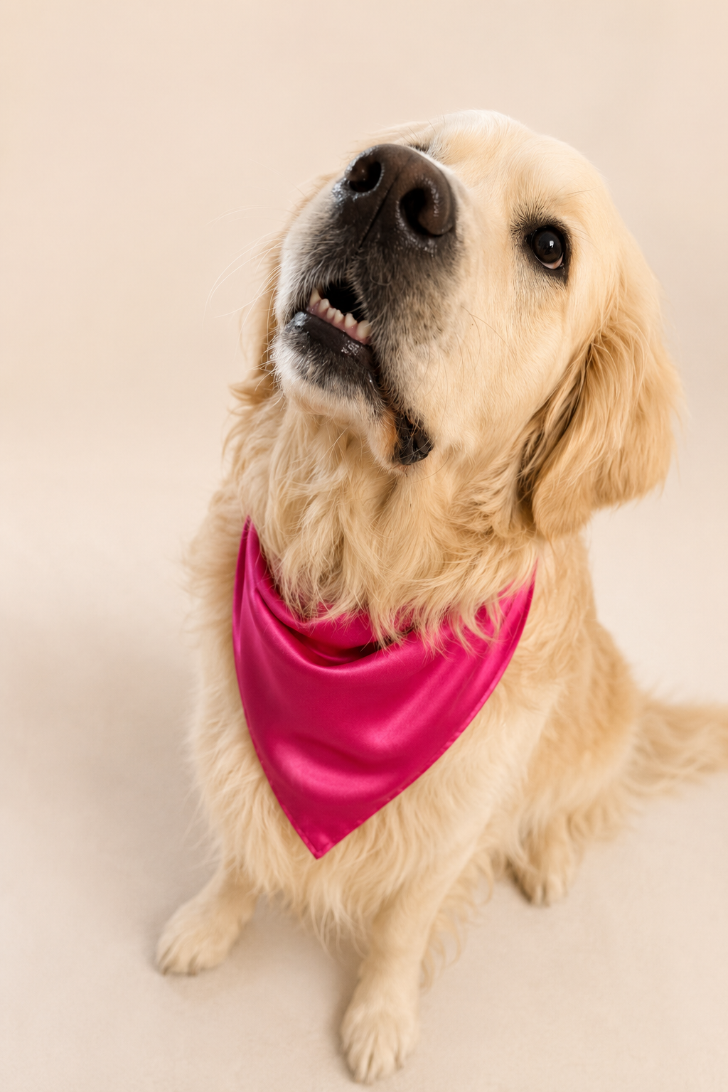 Mulberry Silk Bandana
