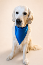Mulberry Silk Bandana