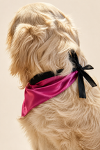 Mulberry Silk Bandana