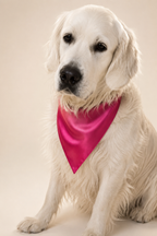 Mulberry Silk Bandana